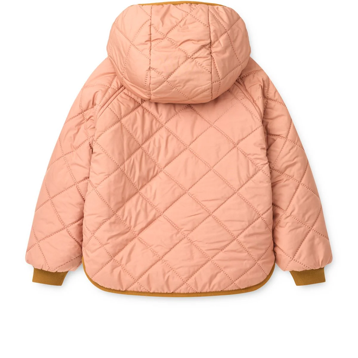 Vorschaubild 7